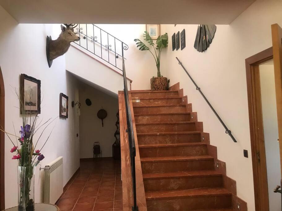Villa Miramar Sant Llorenc Des Cardassar Exterior photo